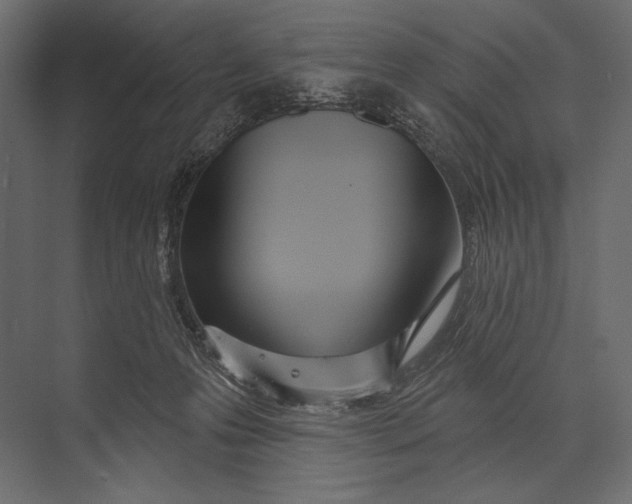X0000073440223200608181221