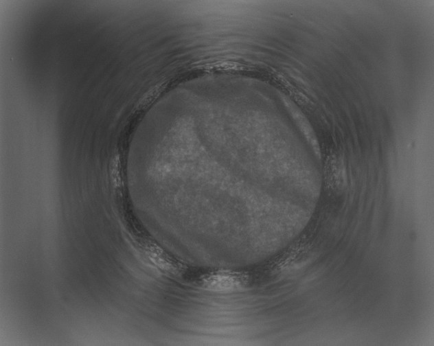 X0000073440224200608181221
