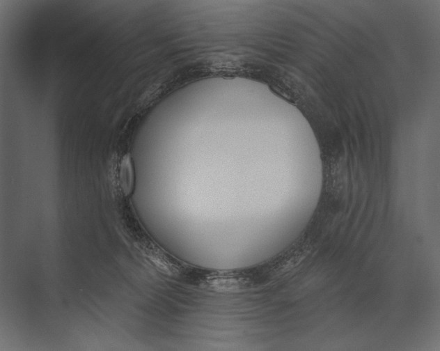 X0000073440228200608181221