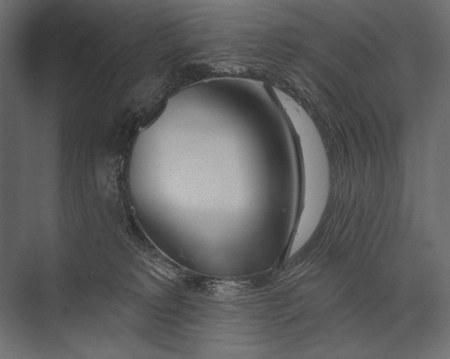 X0000073440229200608181221