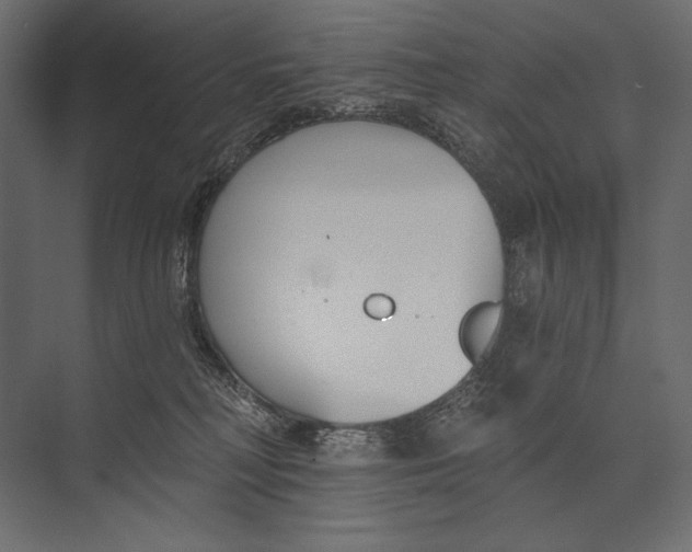 X0000073440230200608181221