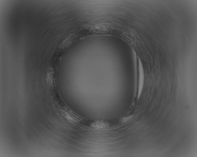 X0000073440231200608181221
