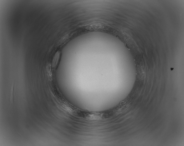 X0000073440232200608181221