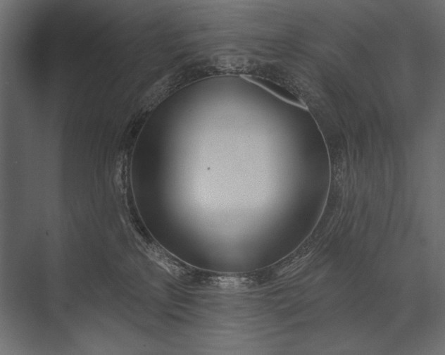 X0000073440233200608181221