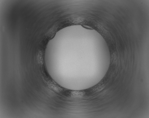 X0000073440234200608181221