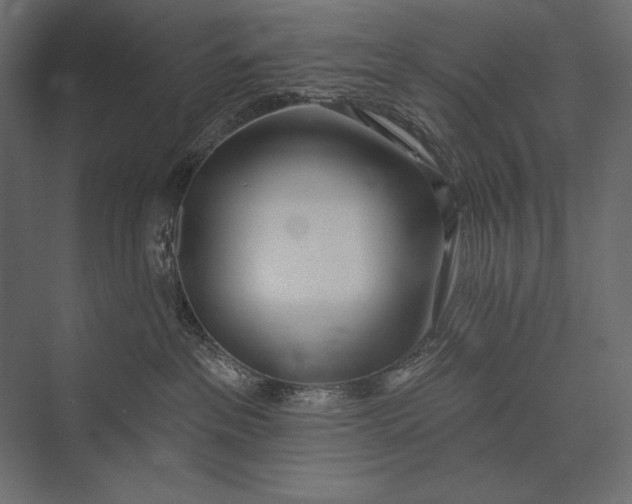 X0000073440237200608181221