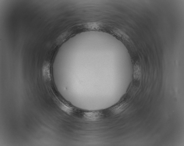 X0000073440238200608181221