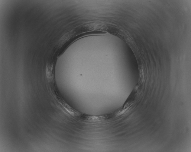 X0000073440239200608181221