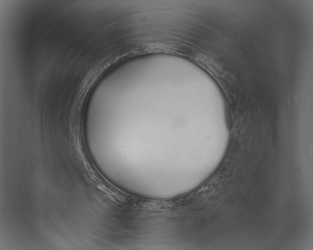 X0000073440241200608181220