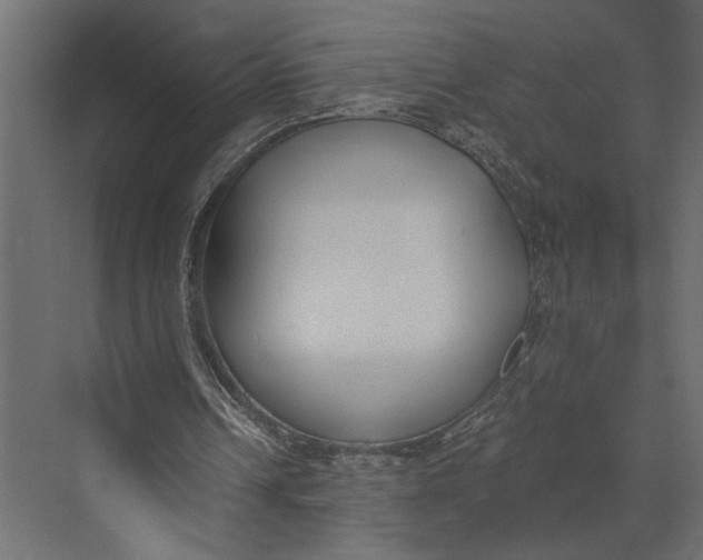 X0000073440242200608181220