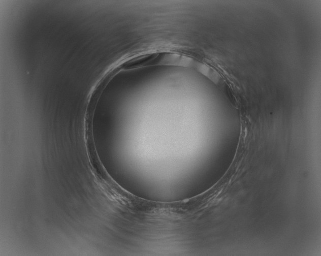 X0000073440244200608181220