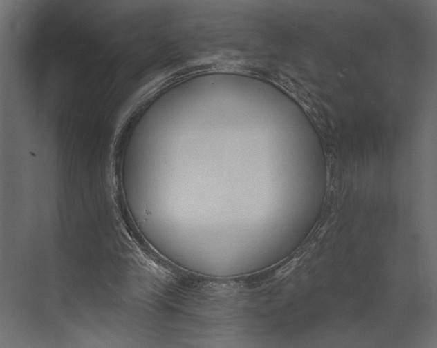 X0000073440245200608181220