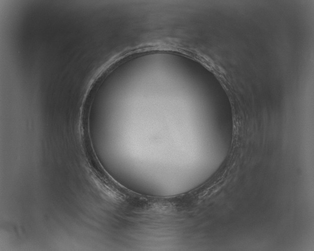 X0000073440248200608181220
