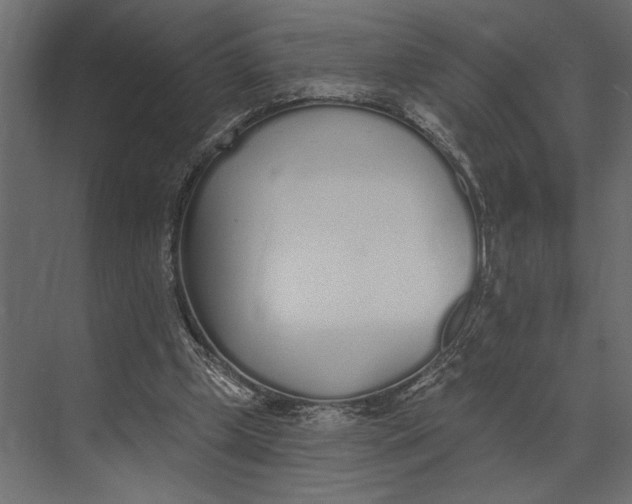 X0000073440249200608181220