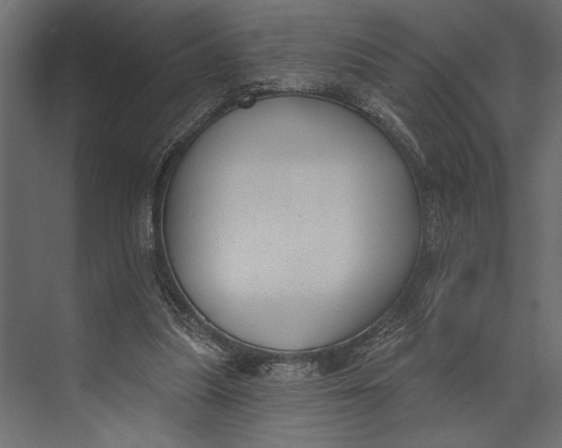 X0000073440251200608181220
