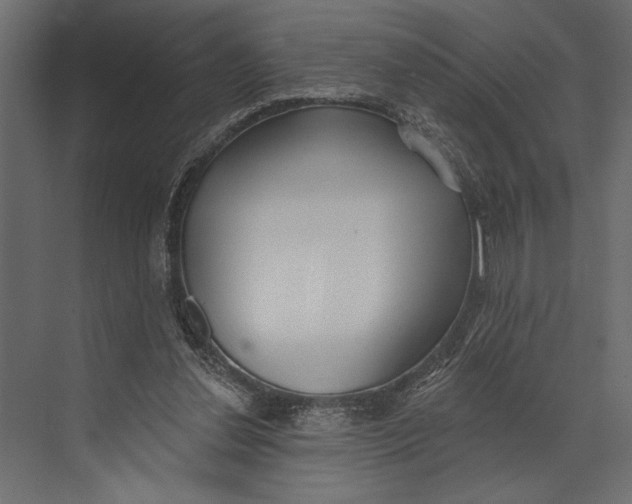 X0000073440252200608181220