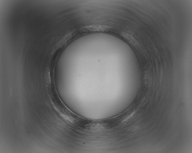 X0000073440254200608181220