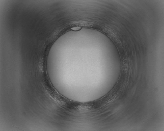 X0000073440255200608181220