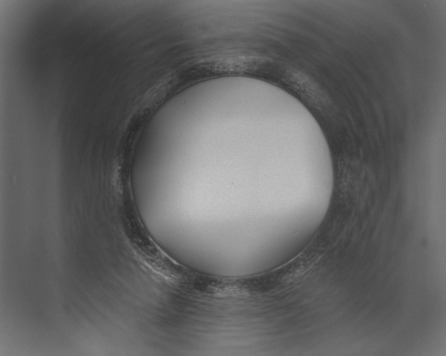X0000073440258200608181220