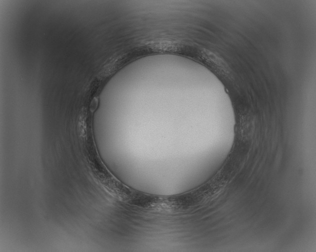 X0000073440259200608181220