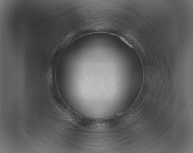 X0000073440260200608181220