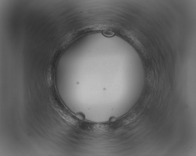 X0000073440261200608181220