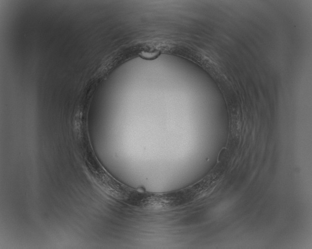 X0000073440263200608181220