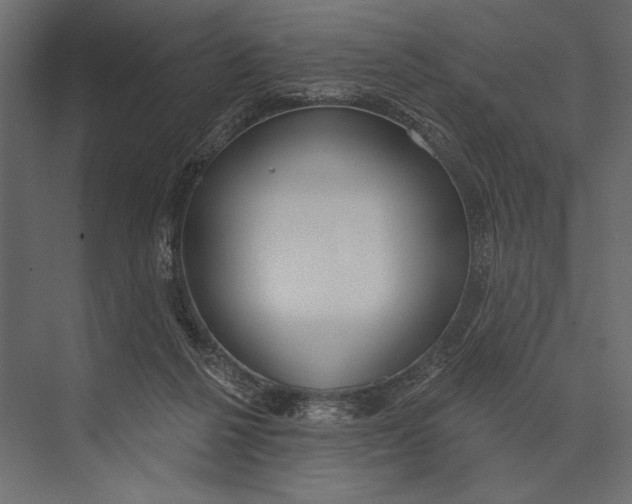 X0000073440264200608181220