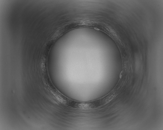 X0000073440265200608181220