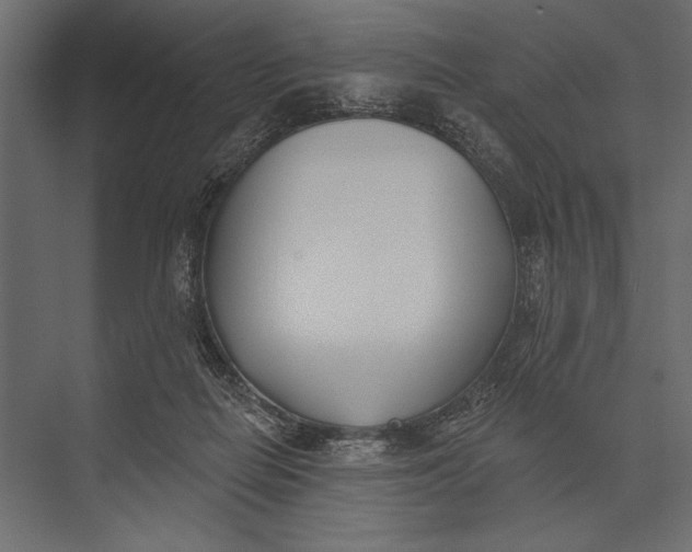 X0000073440266200608181220