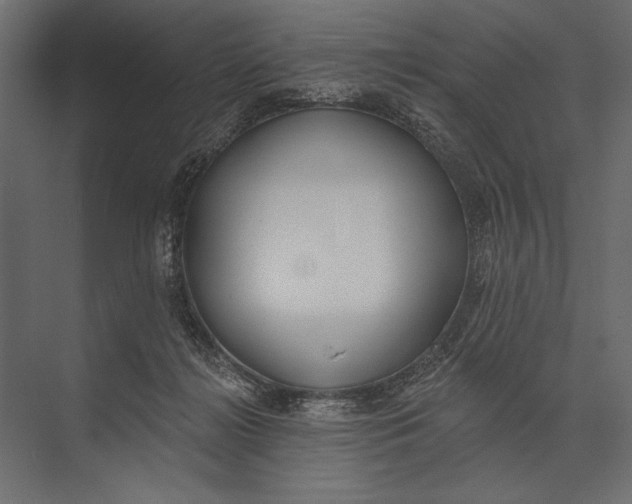 X0000073440268200608181220