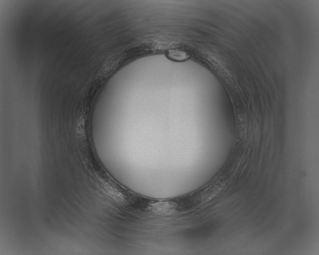 X0000073440269200608181220