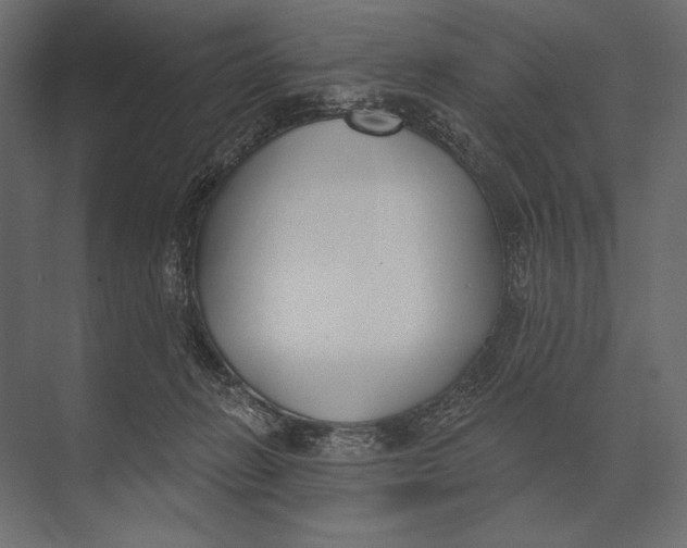 X0000073440270200608181220