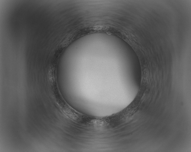 X0000073440272200608181220