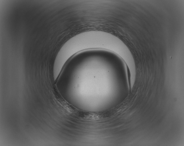 X0000073440276200608181220