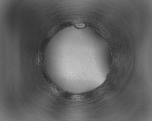 X0000073440277200608181220