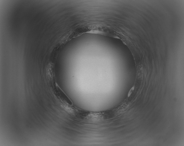 X0000073440280200608181221