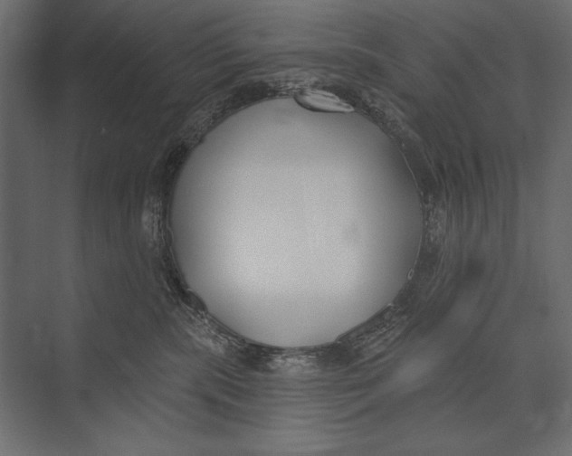 X0000073440283200608181221