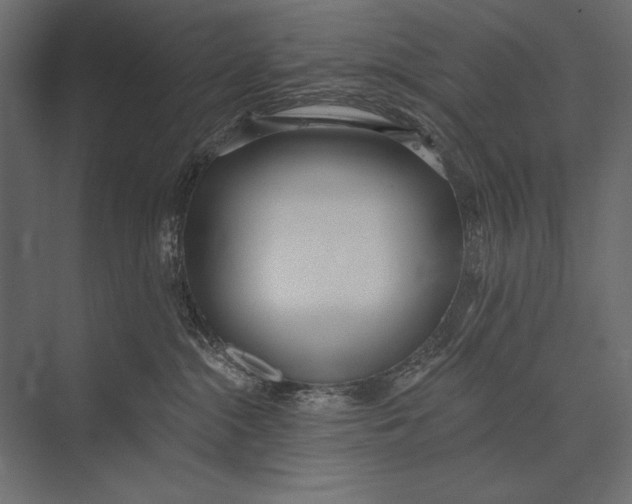 X0000073440284200608181221