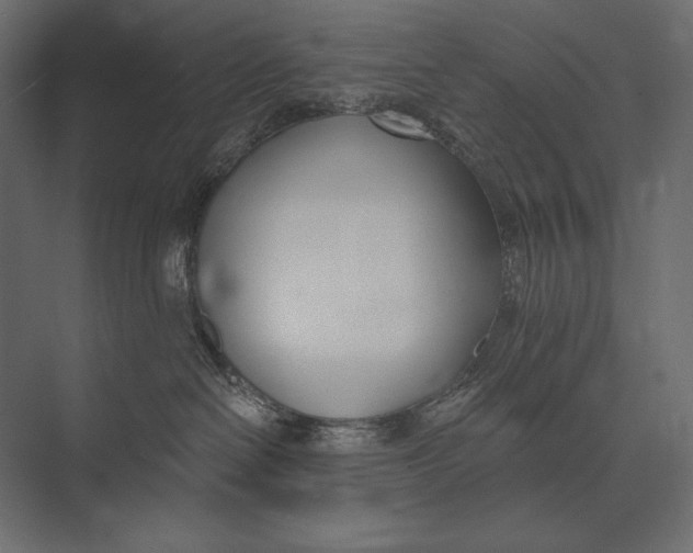 X0000073440286200608181221