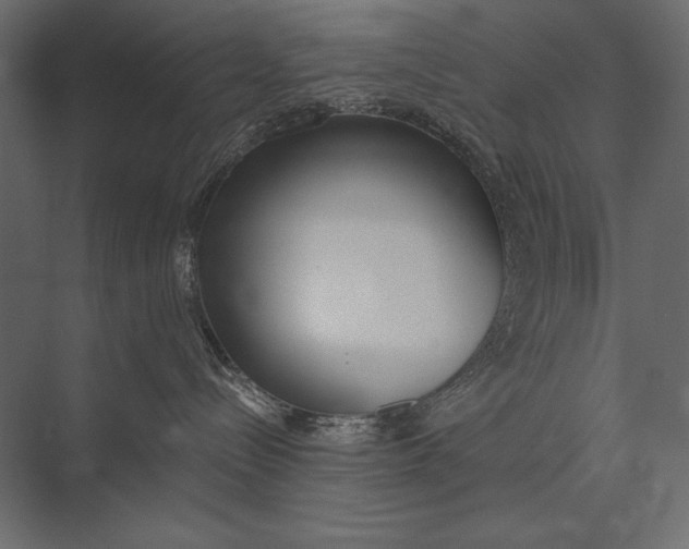 X0000073440288200608181221