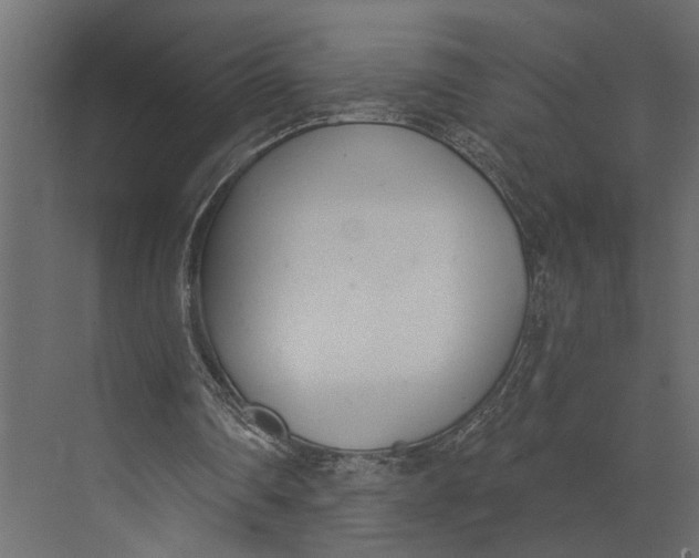 X0000073440290200608181220