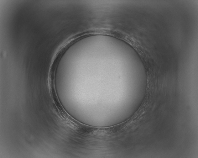 X0000073440294200608181220