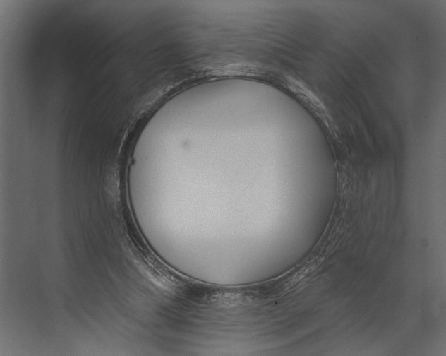 X0000073440298200608181220