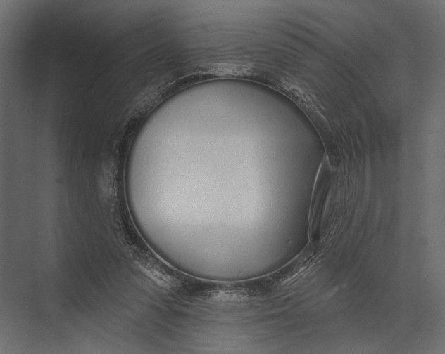 X0000073440303200608181220