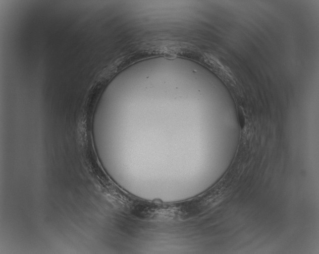 X0000073440306200608181220