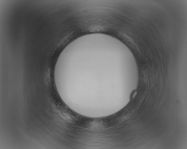 X0000073440308200608181220