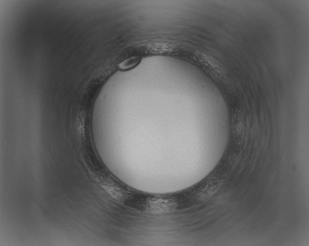 X0000073440315200608181219