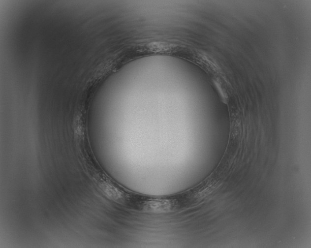 X0000073440317200608181219