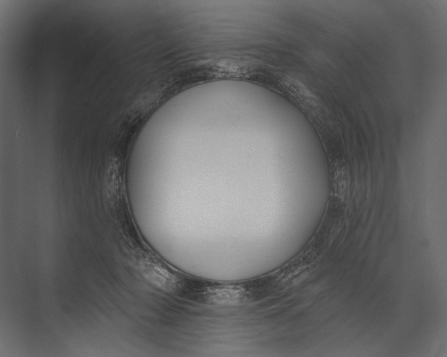 X0000073440318200608181219
